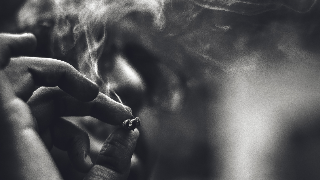 Duis tincidunt imperdiet lorem nec ullamcorper